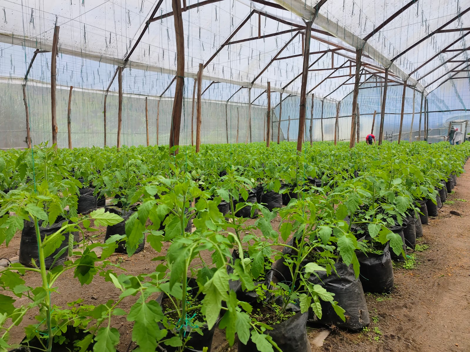 Uso responsable del agua